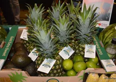 Schmieding Produce introduced a new tropical/exotics product line. In addition to corn, potatoes and watermelons, the company now also offers pineapples, avocados, limes and more under the Nature's Choice brand. All products from the Tropical line are sourced from Costa Rica.